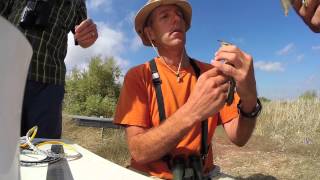 preview picture of video 'Boise State Raptor Research in Tarifa, Spain'