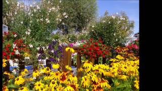 preview picture of video 'Camping des roses, Quend-plage ,Gournay en bray ,jardinerie ,'