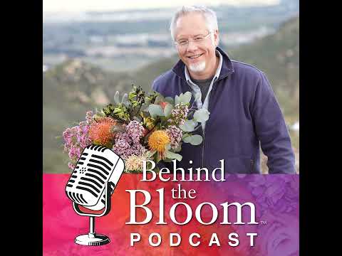 Episode 4 - Companion Podcast to Episode 102 - Life in Bloom - Protea- Long Term Beauty