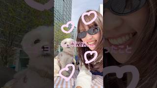 ニューヨーク在住おんなといぬの変化🗽👩🏻‍🦰🐶⊹ ۪ ꣑୧ |#nyc #newyork #ニューヨーク生活