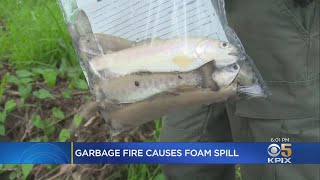 Hundreds Of Fish Dead After Firefighter Foam Reaches Codornices Creek