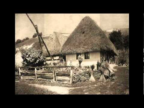 Slobodan Domacinovic -  N-aveam casă nici pământ