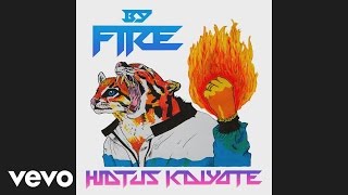 Hiatus Kaiyote - By Fire (Audio)