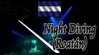 🐙 Nighttime Scuba Dive (Roatán) 🤿
