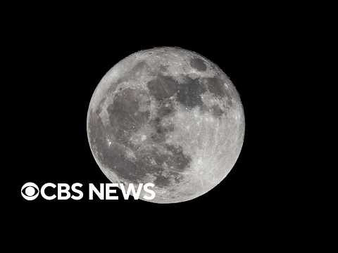 SpaceX rocket booster crashes into the moon