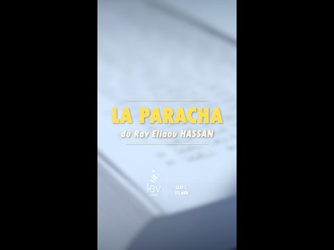 Paracha Vayigach – « Ani Yossef » : quand tout devient clair | Rav Hassan