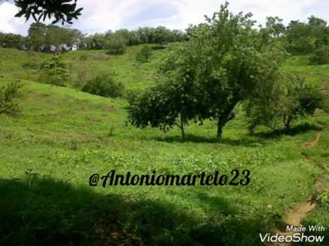 Mosaico Mapale - Súper Banda de Colomboy / Córdoba.
