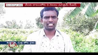 Jasmine Cultivation | Good Benefits and Profits For Jasmine Cultivation | Mancherial District | V6