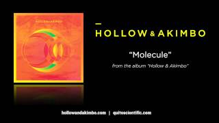 Hollow &amp; Akimbo - Molecule [Audio]