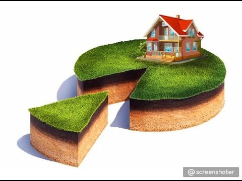 Как выделить долю общей долевой собственности на земельный участок в натуре