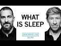 What is Sleep? | Dr. Andrew Huberman & Dr. Matthew Walker