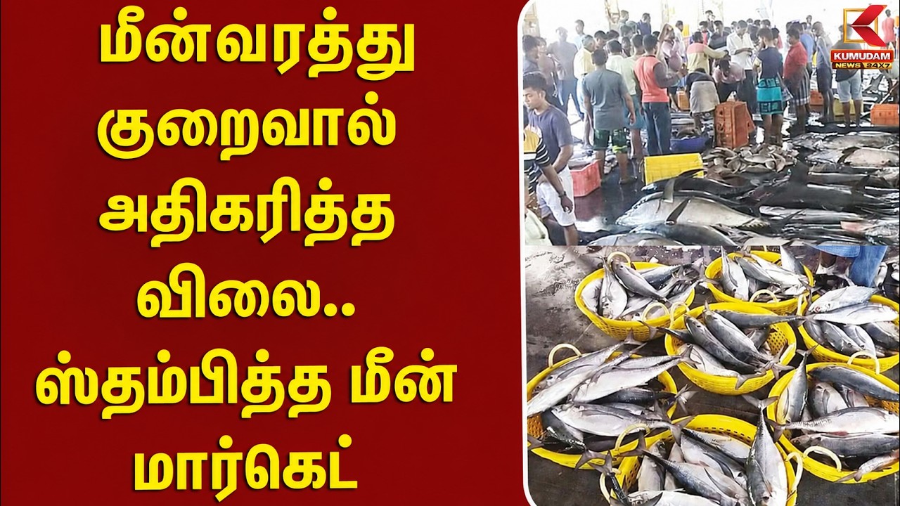 #BREAKING | மீன்வரத்து குறைவால் அதிகரித்த விலை! ஸ்தம்பித்த மீன் மார்கெட் | Fish Market | Thoothukudi