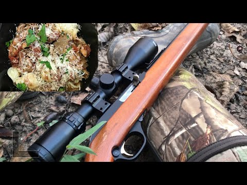 Squirrel Hunt, Cook, EAT! SQUIRREL RAGU (CHECK THIS RECIPE OUT!)