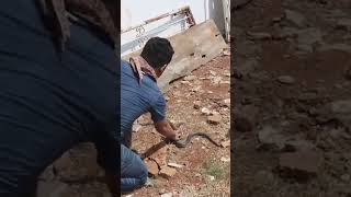 Download lagu THERE IS A COBRA IN IRFAN HAKIM'S HOUSE!! PANJI HELP WITH THE RESCUE mp3 Download lagu THERE IS A COBRA IN IRFAN HAKIM'S HOUSE!! PANJI HELP WITH THE RESCUE mp3