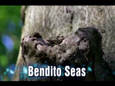 BENDITO SEAS (Susana Allen) y (Paul Wilbur)