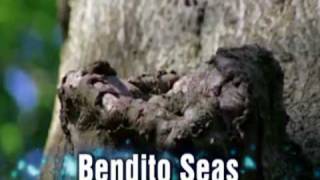 BENDITO SEAS (Susana Allen) y (Paul Wilbur)