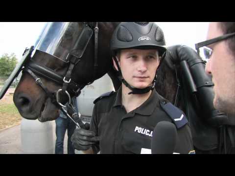 Chorzowskie konie jadą na Euro 2012