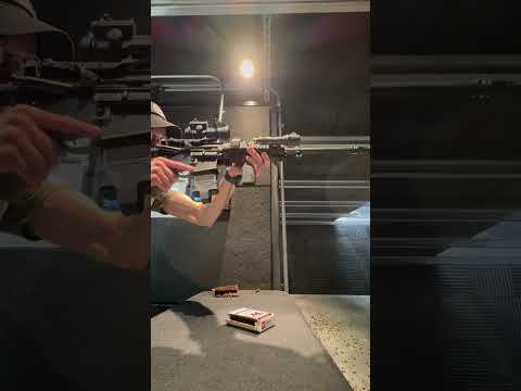 Delton M4 clone. 600+ rounds fired I’ll say this. Pros, cheap and reliable. Cons, the trigger is eh.