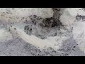 640589315 (Moistened & Dried - Biosphere)