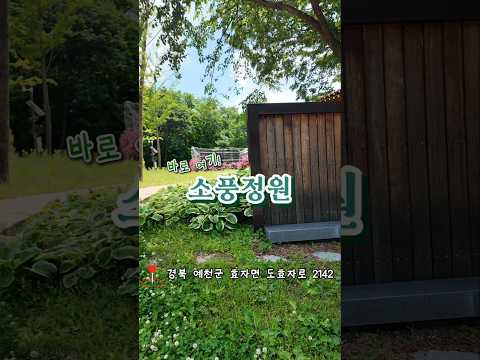 예천목재문화체험장 옆 명소, 소풍정원으로 초대합니다