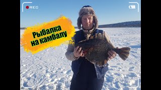 Советская гавань хабаровский край рыбалка