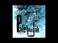 Pale blue Jak - Mr Blue Sky - ELO Cover Version ...
