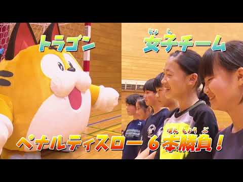 「パズドラ」チャレンジカップへの道　トラゴンのビクトリーロード～ハンドボール編～