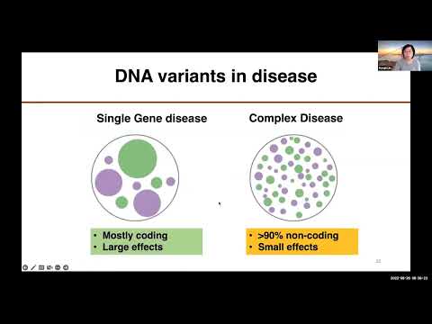 Nested Enhancer Epistasis Networks Link Multiple Non-coding Variants to Disease Risk