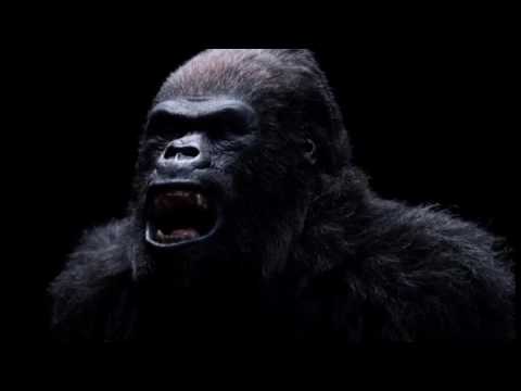 G-Shock Absolute Toughness | Black & Gold (Teaser 2)