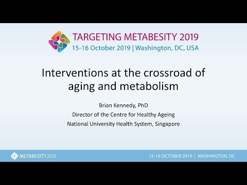 Metabesity 2019: Interventions at the crossroad of aging and metabolism