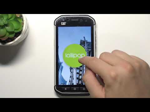 How to Check Android Version in CAT S40 -  Find Current Android Version