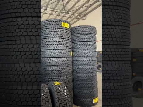 Eudemon Longrun Tire, OTR/TBR Radial Truck Tyre 