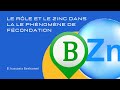 le rôle du Bore et du Zinc dans le phénomène de fécondation#دور البور و الزنك في النبات