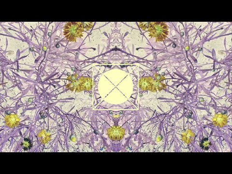 Episode XXV: Curated By Jonas Rathsman