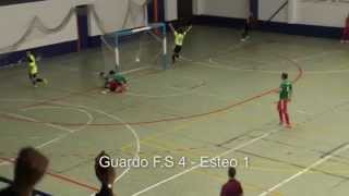 preview picture of video 'Resumen del partido guardo fs vs esteo'