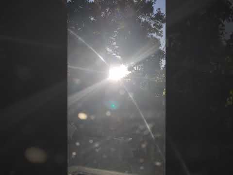 Karan Singh the rising sun