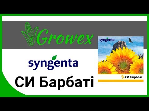 Гибрид подсолнечника СИ Барбати
