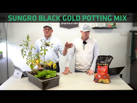 Sungro Black Gold All-Purpose Potting Mix Testing | Know Before You Grow
