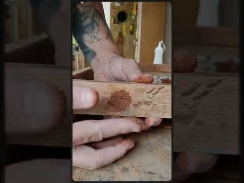 Tapar Buracos - Kyuniedoo