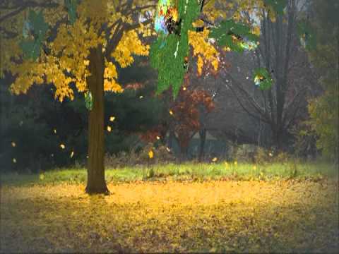 Wim Mertens Often A Bird Hiroki's  Lilium & Shunsuke