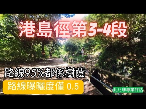 【酷熱天氣行山】港島徑第3-4段｜完全唔曬｜14公里僅得750米攀升｜陰暗位多｜秘景｜詳細路況