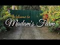 FARM TOUR | MADAM's FARM (The Real Tour!) | Dy Family