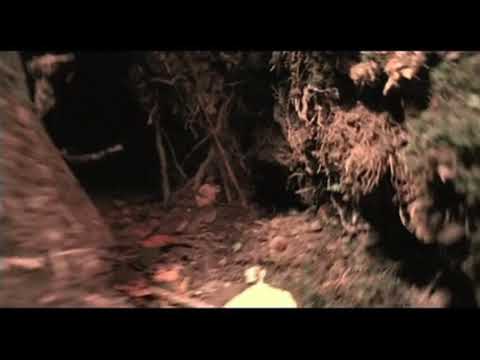 IFAW - The Chase (1997, UK, NSFW)