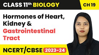 Hormones of Heart, Kidney & Gastrointestinal Tract & Mechanism of Hormone Action | Class 11 Biology