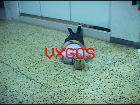 VXGOS