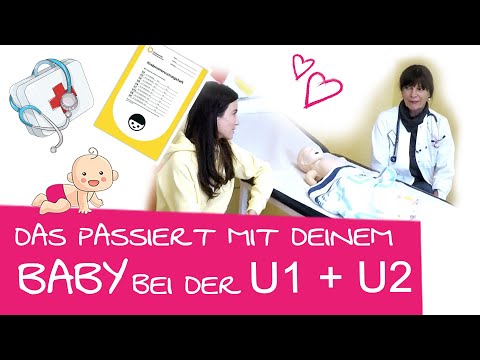 Baby's U-examinations: Chief physician explains the U1 and U2 examinations! | Part 1