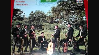 Mariachi Jalisco de Puerto Rico - Lucio Vazquez.wmv