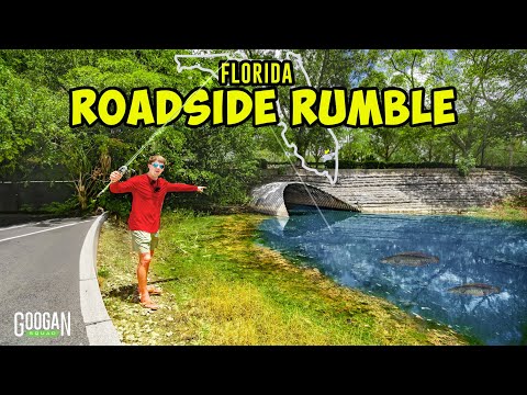 24 Hour ROADSIDE RUMBLE Urban Fishing CHALLENGE! (2v2)