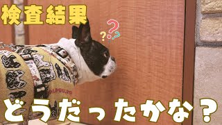 尿石症の再検査してきました！