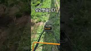 긴풀제초기 당근했어요 #shorts